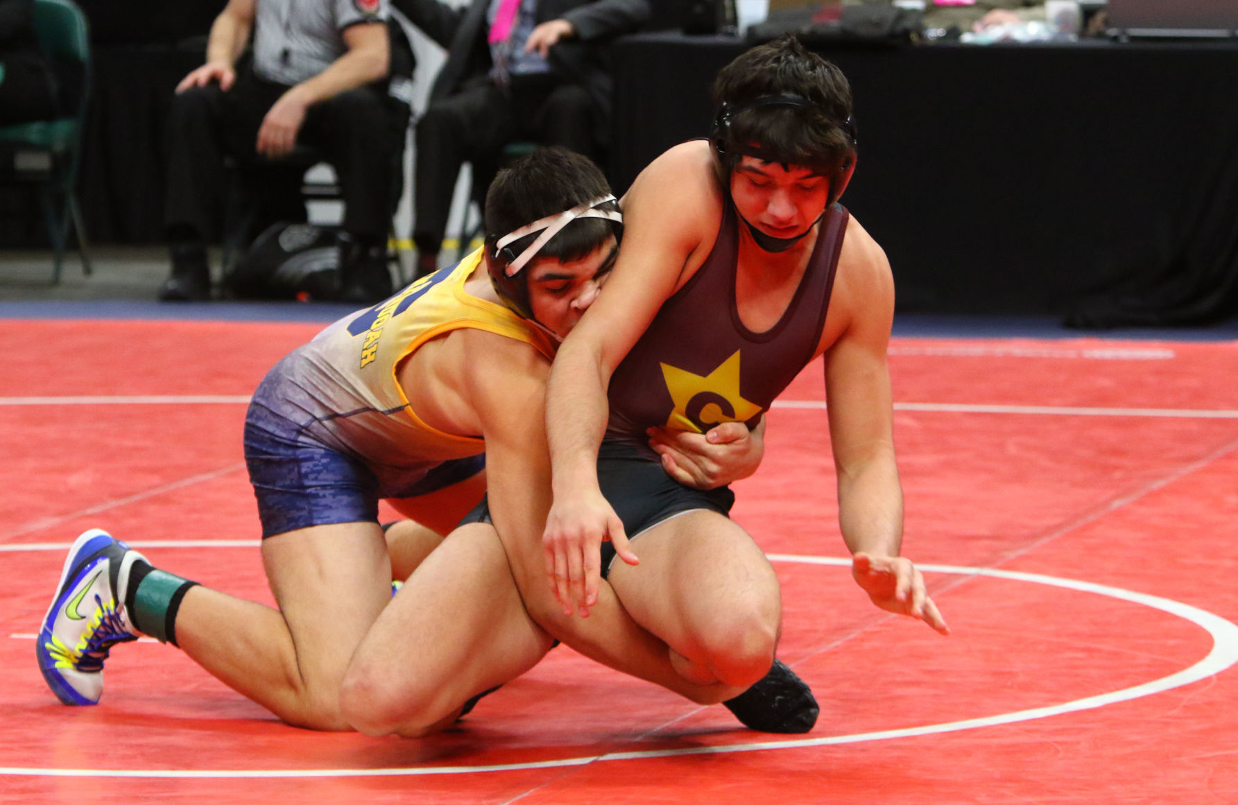 Gallery: Wrestling State Finals